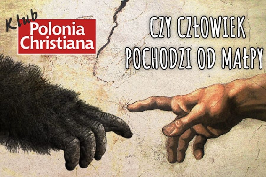 „Czy człowiek pochodzi od małpy?”. Klub „Polonia Christiana” w Krakowie zaprasza!